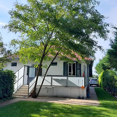 Traumlage Direkt Am See Balatonszárszó Екстериор снимка