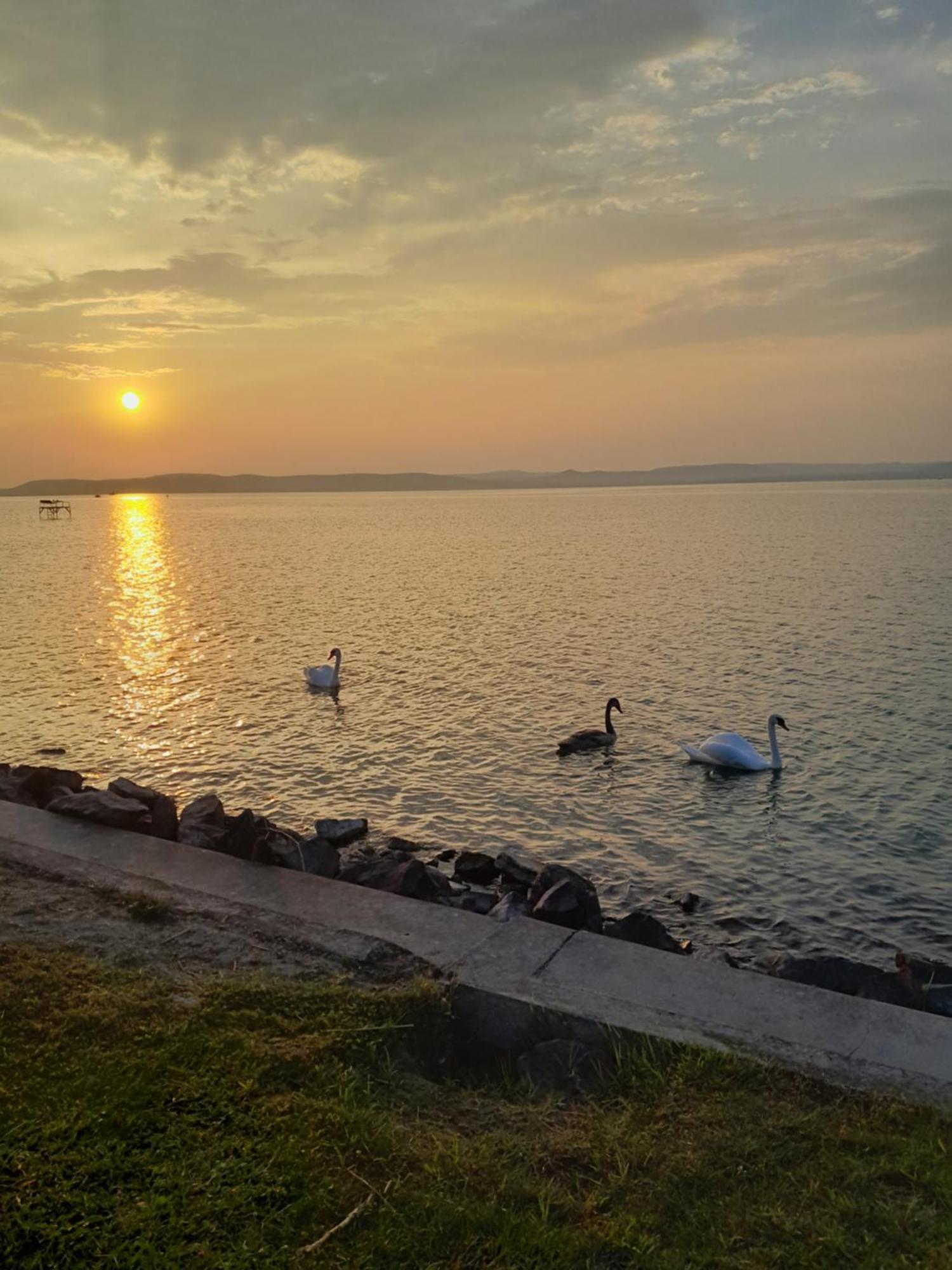 Traumlage Direkt Am See Balatonszárszó Екстериор снимка